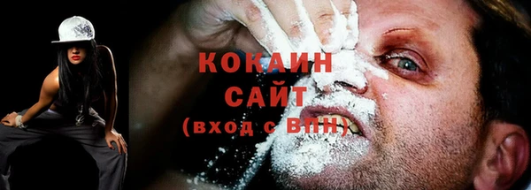 стафф Михайлов