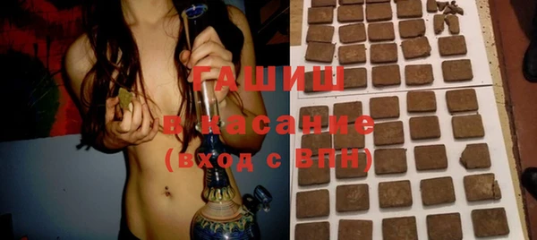 шишки Медвежьегорск