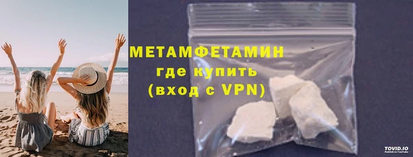 шишки Медвежьегорск