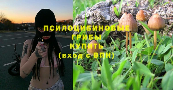 спиды Магадан