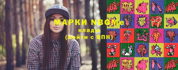шишки Медвежьегорск