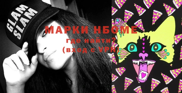 шишки Медвежьегорск
