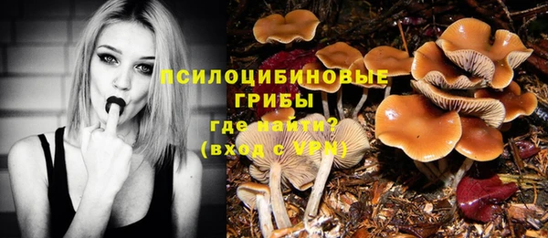 спайс Медногорск