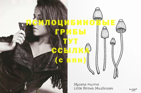 винт Майский
