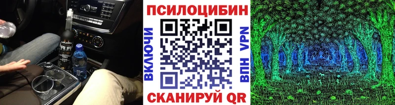 Купить закладки  Куйбышев  Галлюциногенные грибы Psilocybine cubensis 